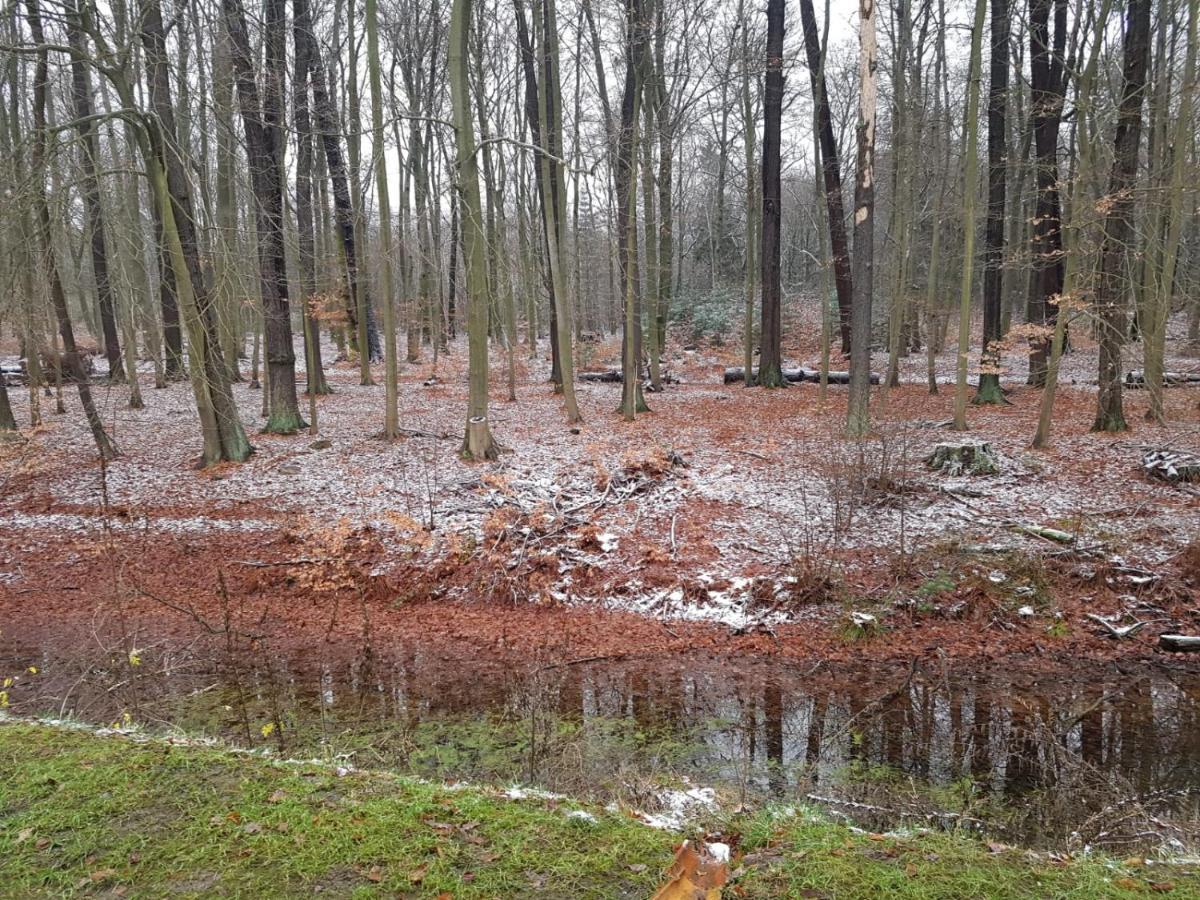 Gaestehaus Vergissmeinnicht Guteborn Buitenkant foto
